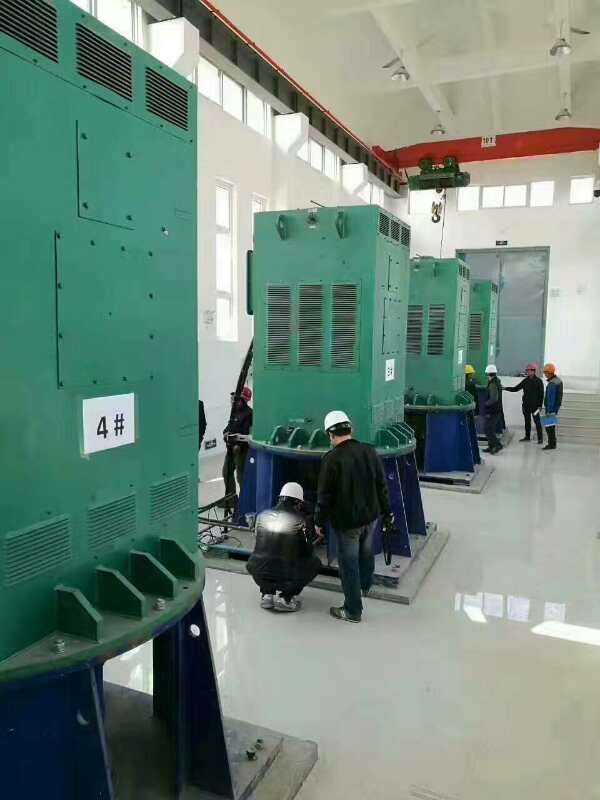 沐川某污水处理厂使用我厂的立式高压电机安装现场